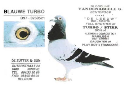 Blauwe Turbo