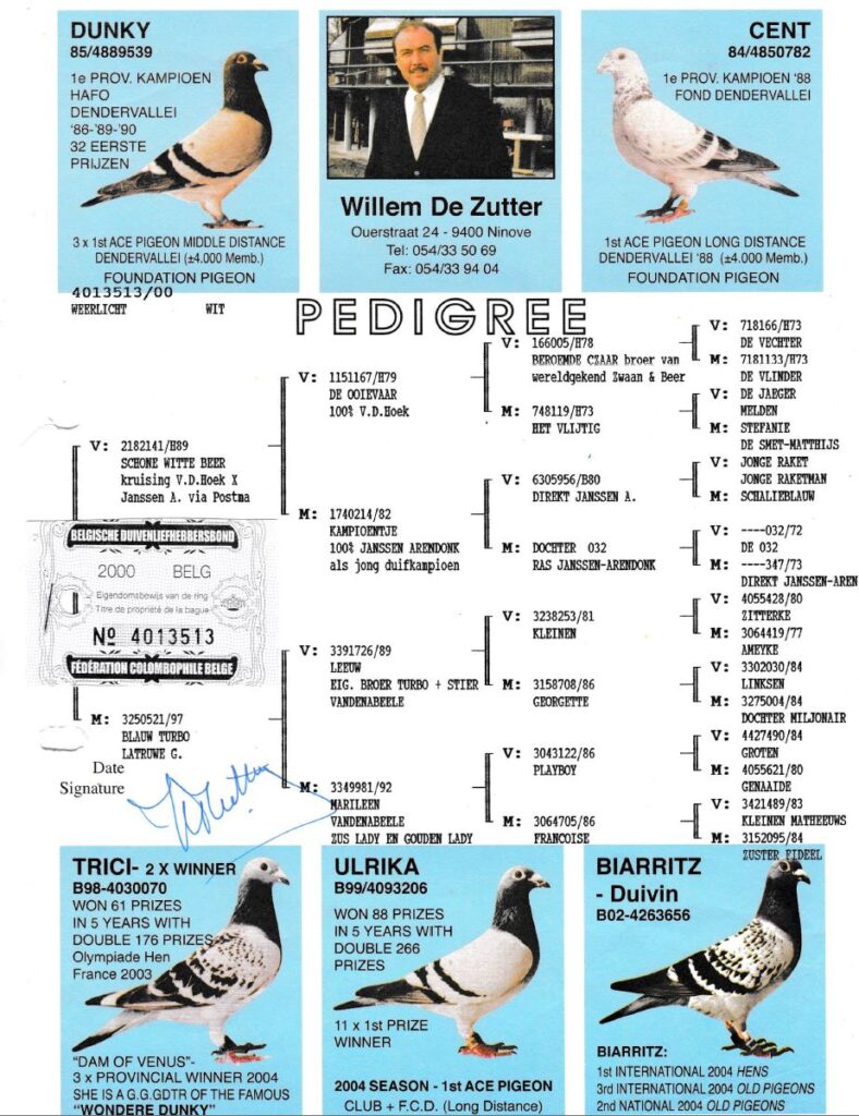 Ben/De Zutter Pedigree