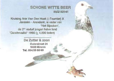 Schone Witte Beer